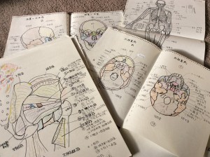 解剖学